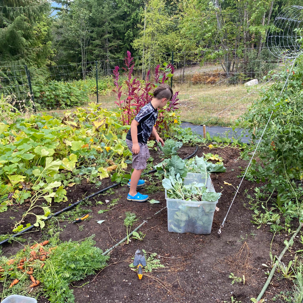 boy in garden